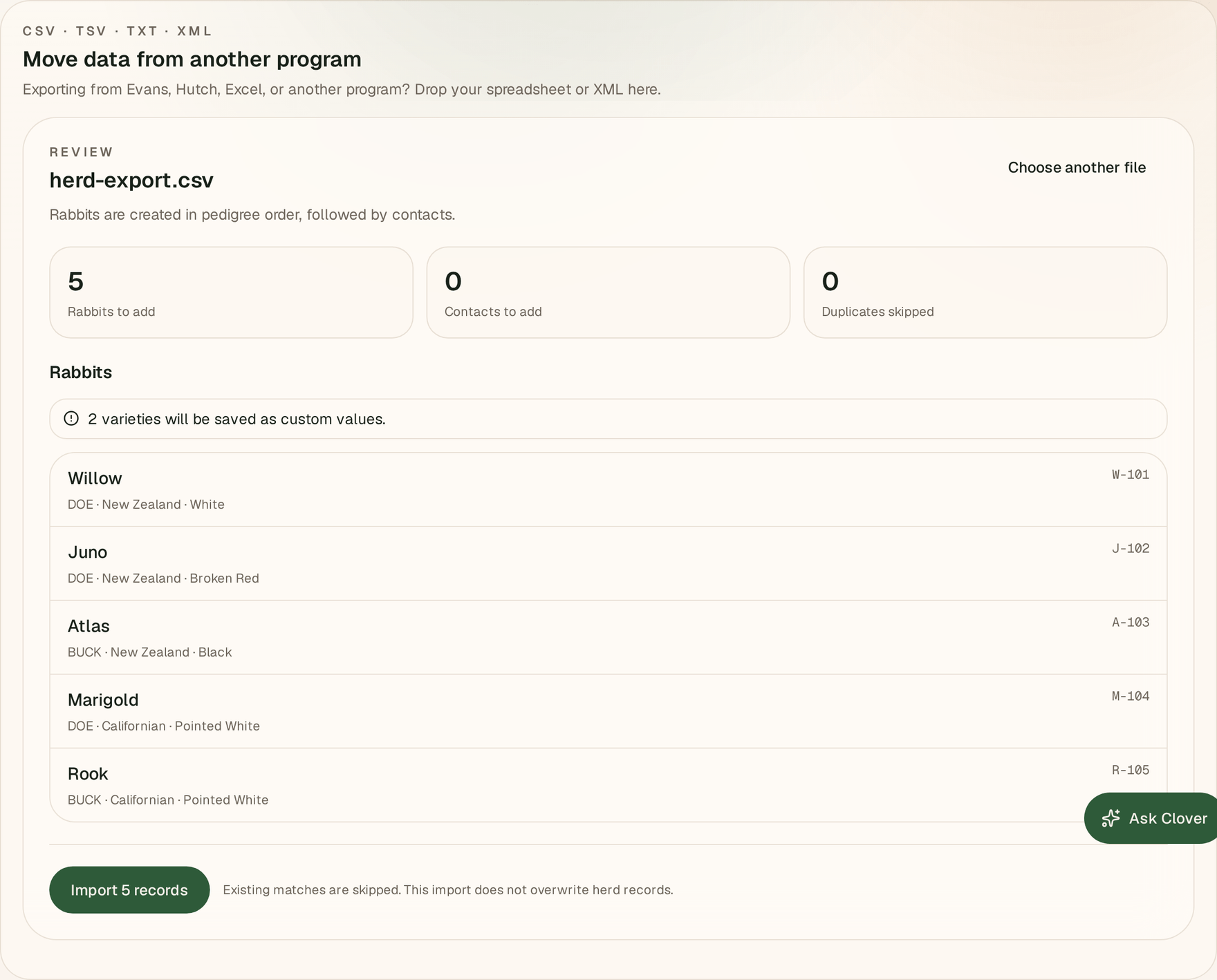 The web program import review screen, showing counts for rabbits to add, contacts to add and duplicates skipped, a warning that two varieties will be saved as custom values, and each rabbit to be created with its sex, breed and variety